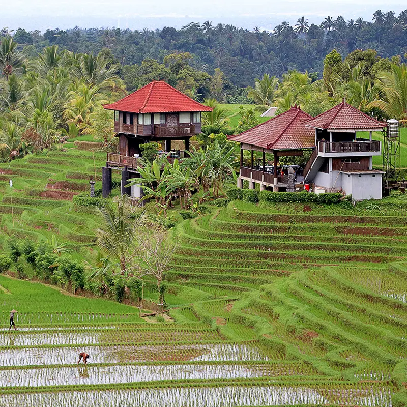 Bali
