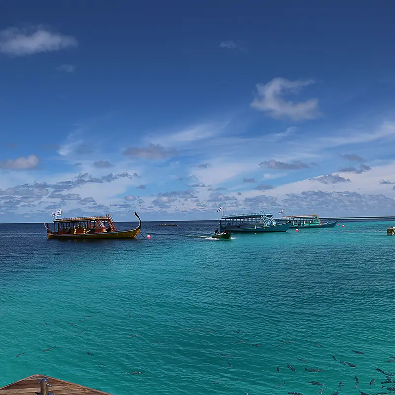 Maldives