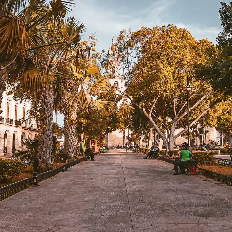 Mexico-city