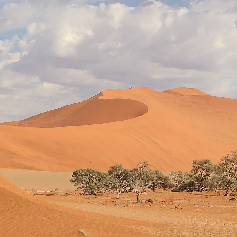 Namib