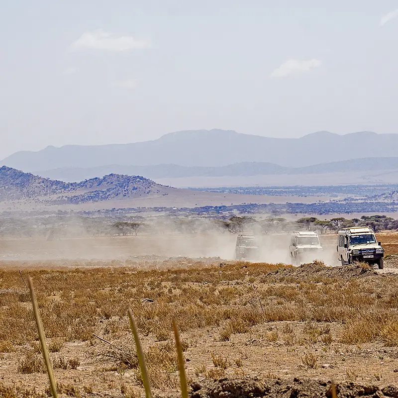 Serengeti
