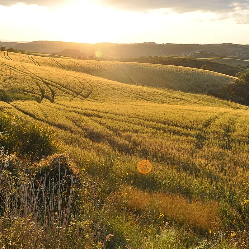 Tuscany